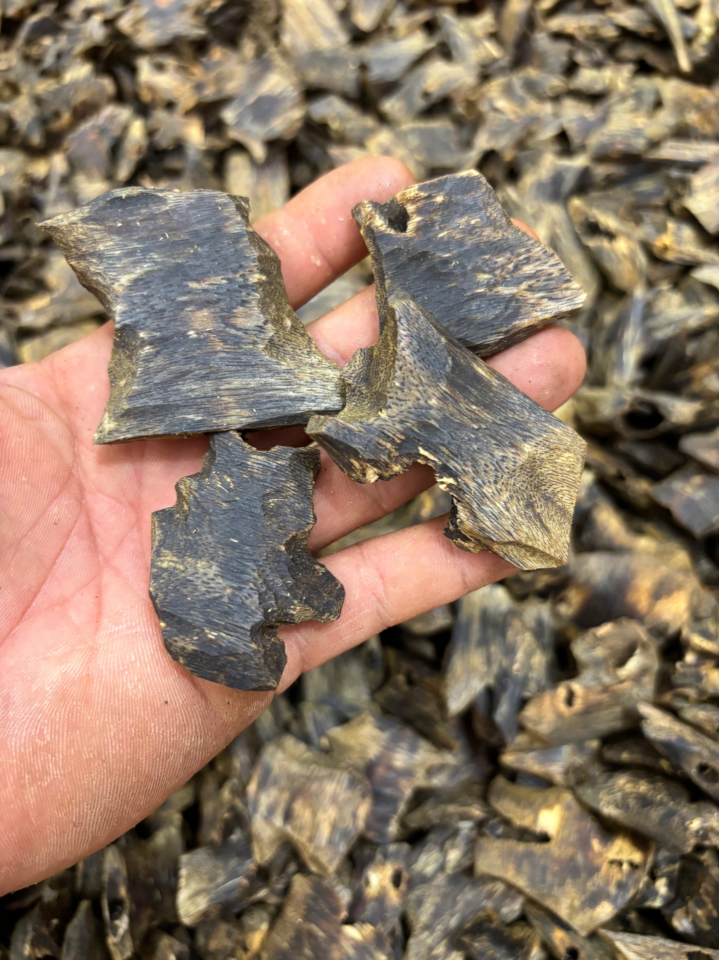 5A:Kynam Agarwood, Double and Triple Oud,chunk,nature,no chemical,AAAAA