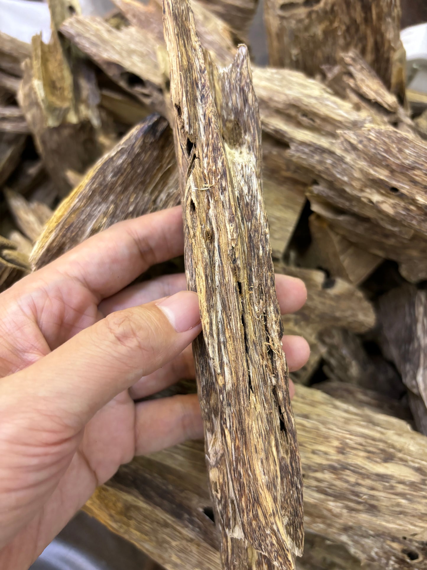 Wanxiang, insect bites form knot fragrance, elegant, floral and fruity, double and triple oud
