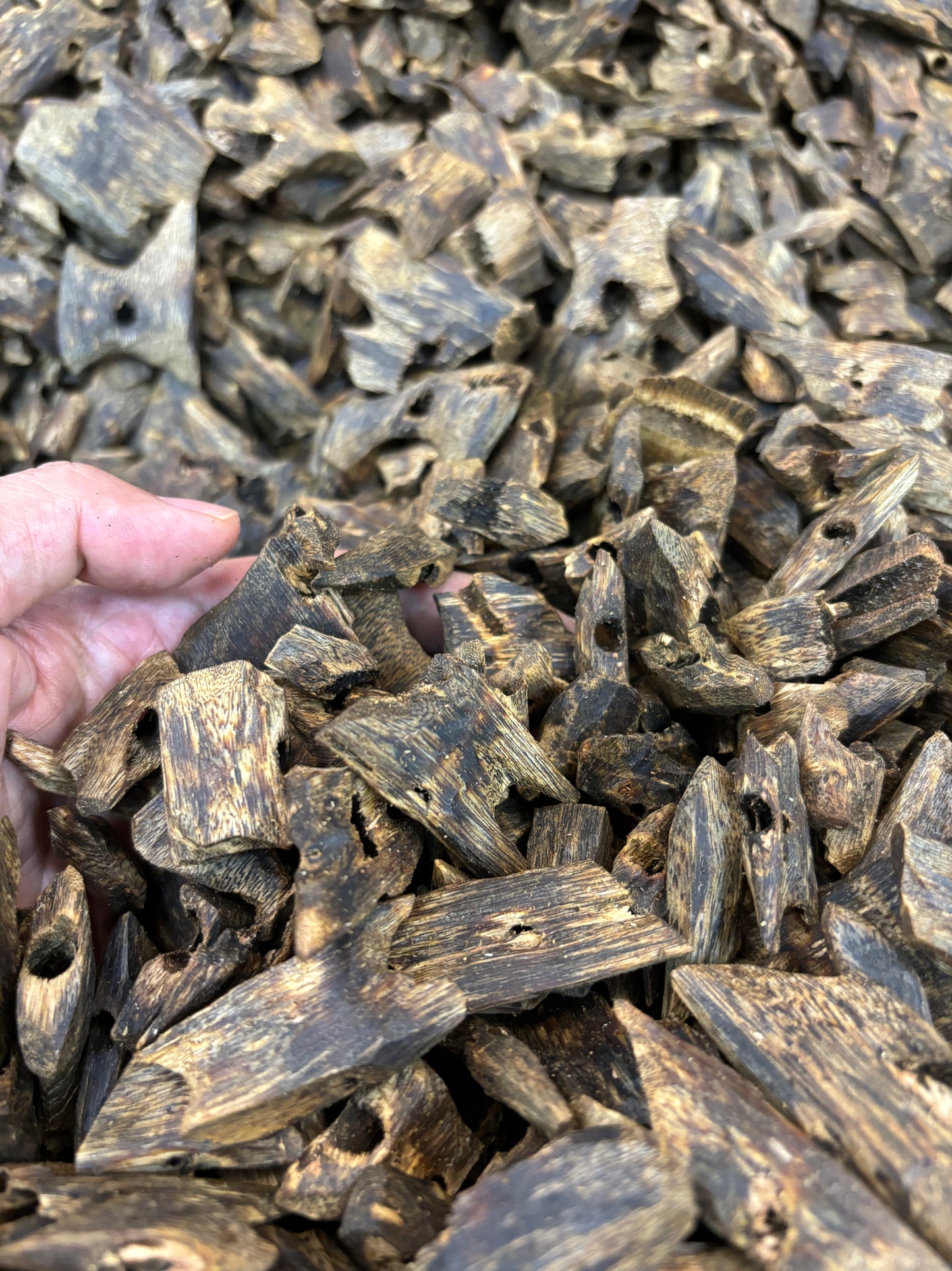 Under Water:Kynam agarwood, sinking to the bottom of the water, super oud, top grade,block
