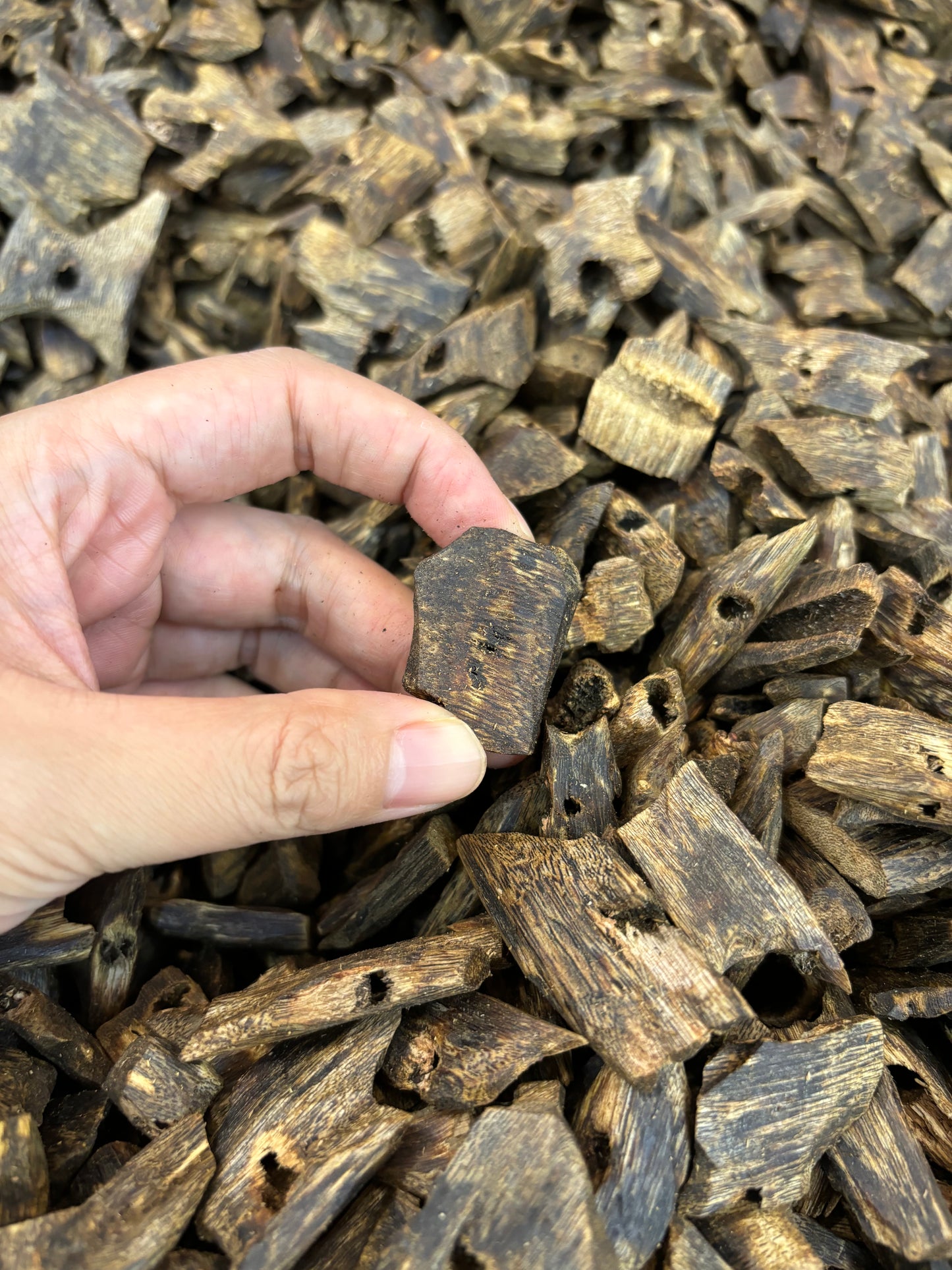 Under Water:Kynam agarwood, sinking to the bottom of the water, super oud, top grade,block