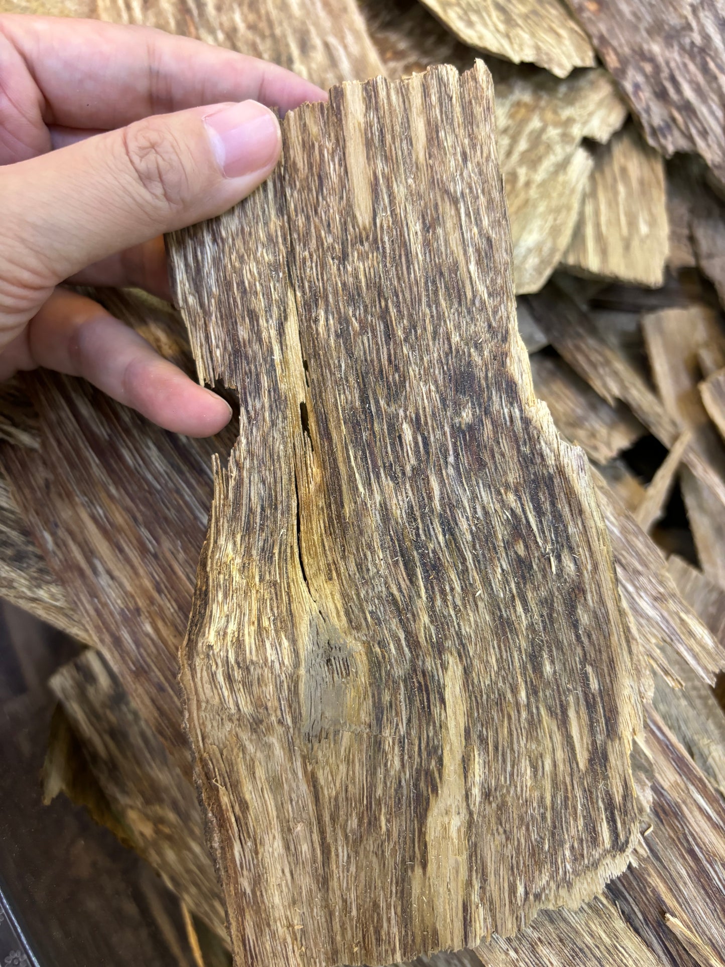 Wanxiang Agarwood - Elegant Floral & Fruity, Double & Triple Oud, Oud-Rich Quality - China_Oud