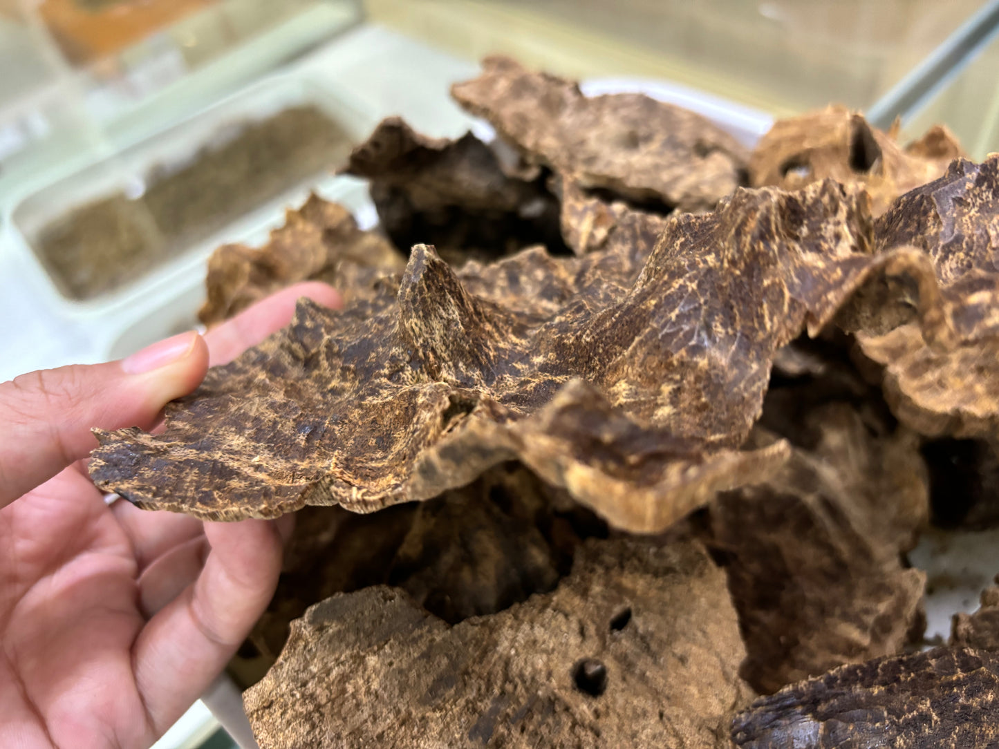 Hainan Triple Super Oud,Rare parts of the tree agarwood,40 years old tree
