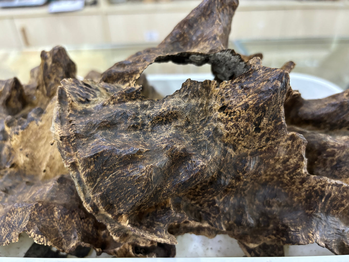 Hainan Triple Super Oud,Rare parts of the tree agarwood,40 years old tree