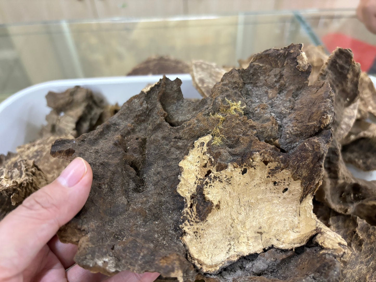 Hainan Triple Super Oud,Rare parts of the tree agarwood,40 years old tree