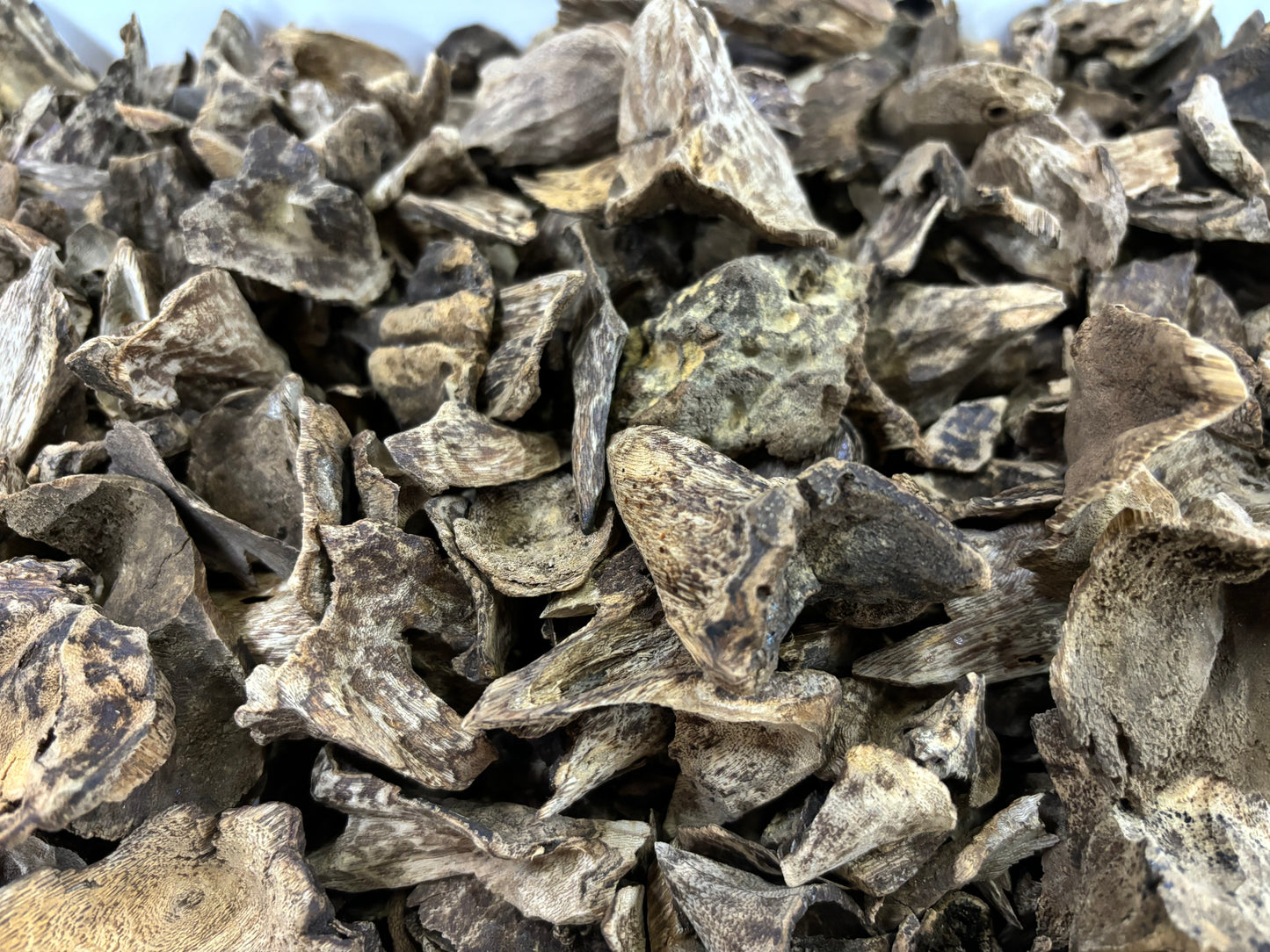 Hainan Triple Super Oud,Rare parts of the tree agarwood,50 years old tree