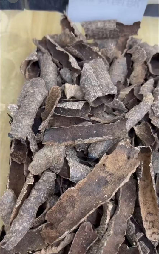 عود هاينان، العود المزدوج والثلاثي