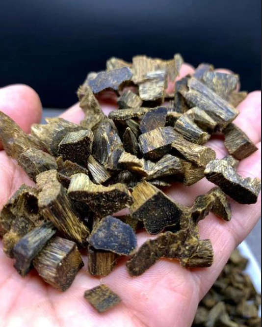 Qi Nan Agarwood – Premium Quality, Natural Aroma