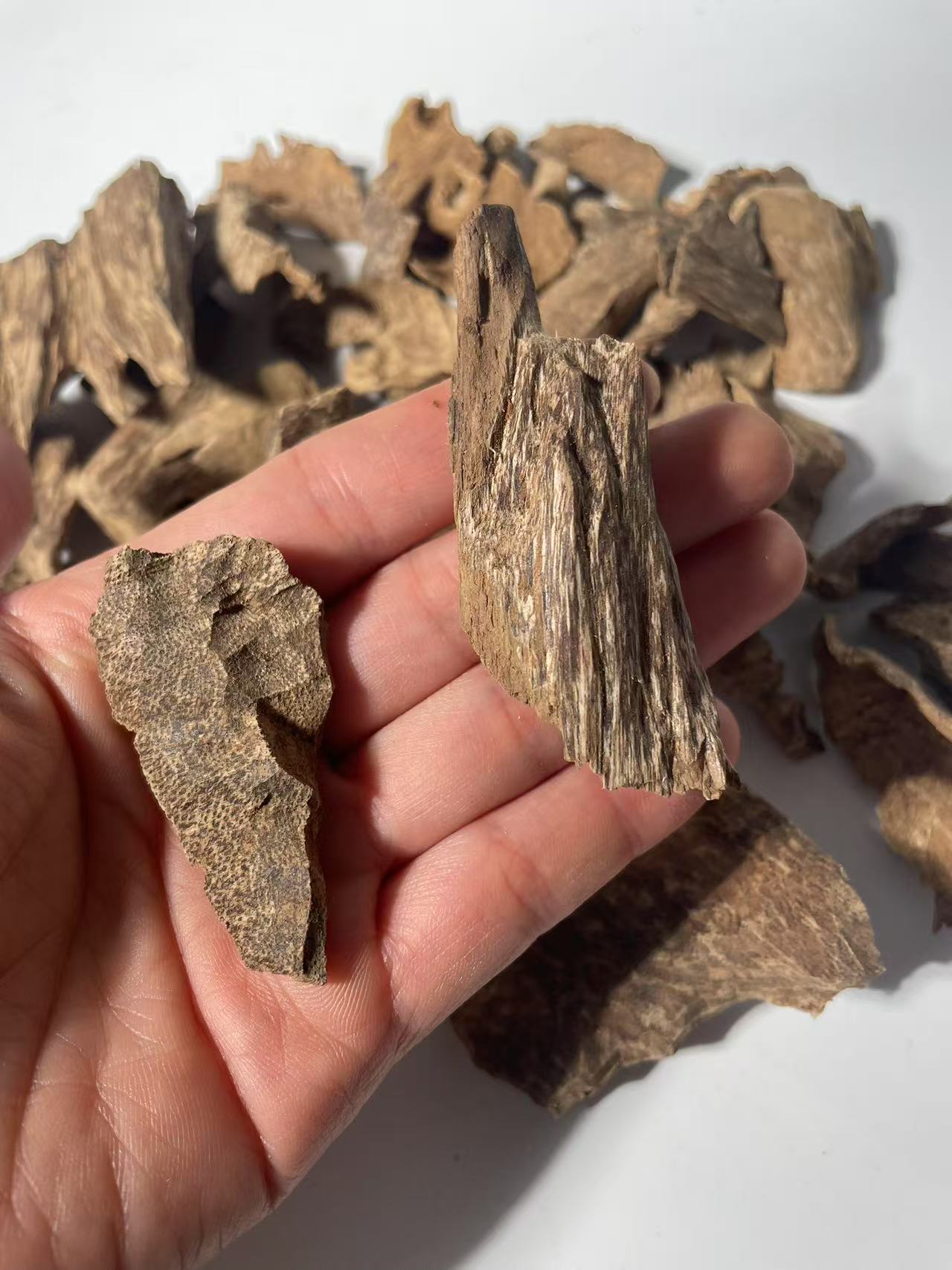 Vietnam-grown natural agarwood (large pieces)/Natural Wild and Rare Agarwood Chips from Oudwood Vietnam