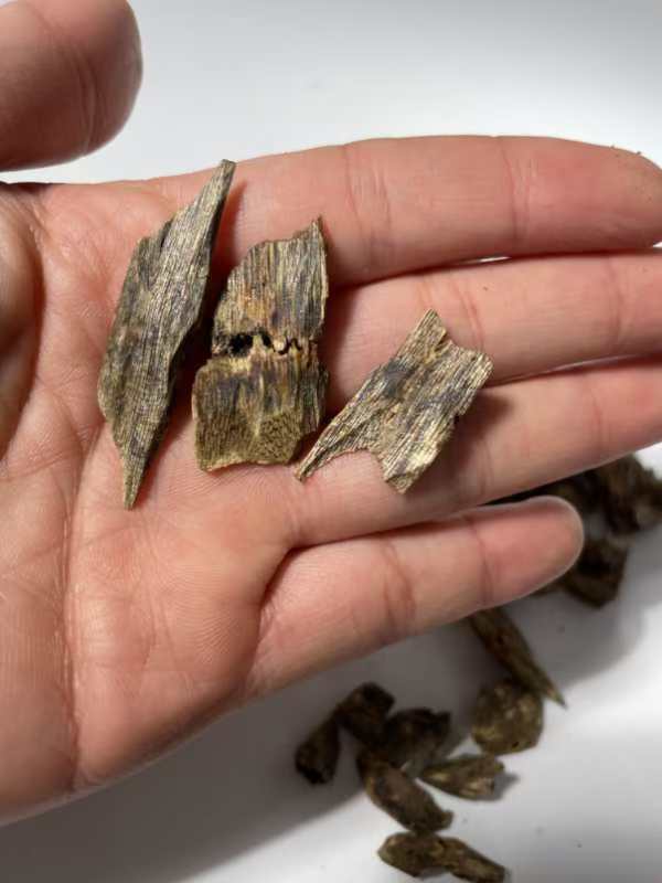 Premium Qi Nan Agarwood /Rare, Rich Aroma with High Oil Content, Ideal for Meditation and Incense