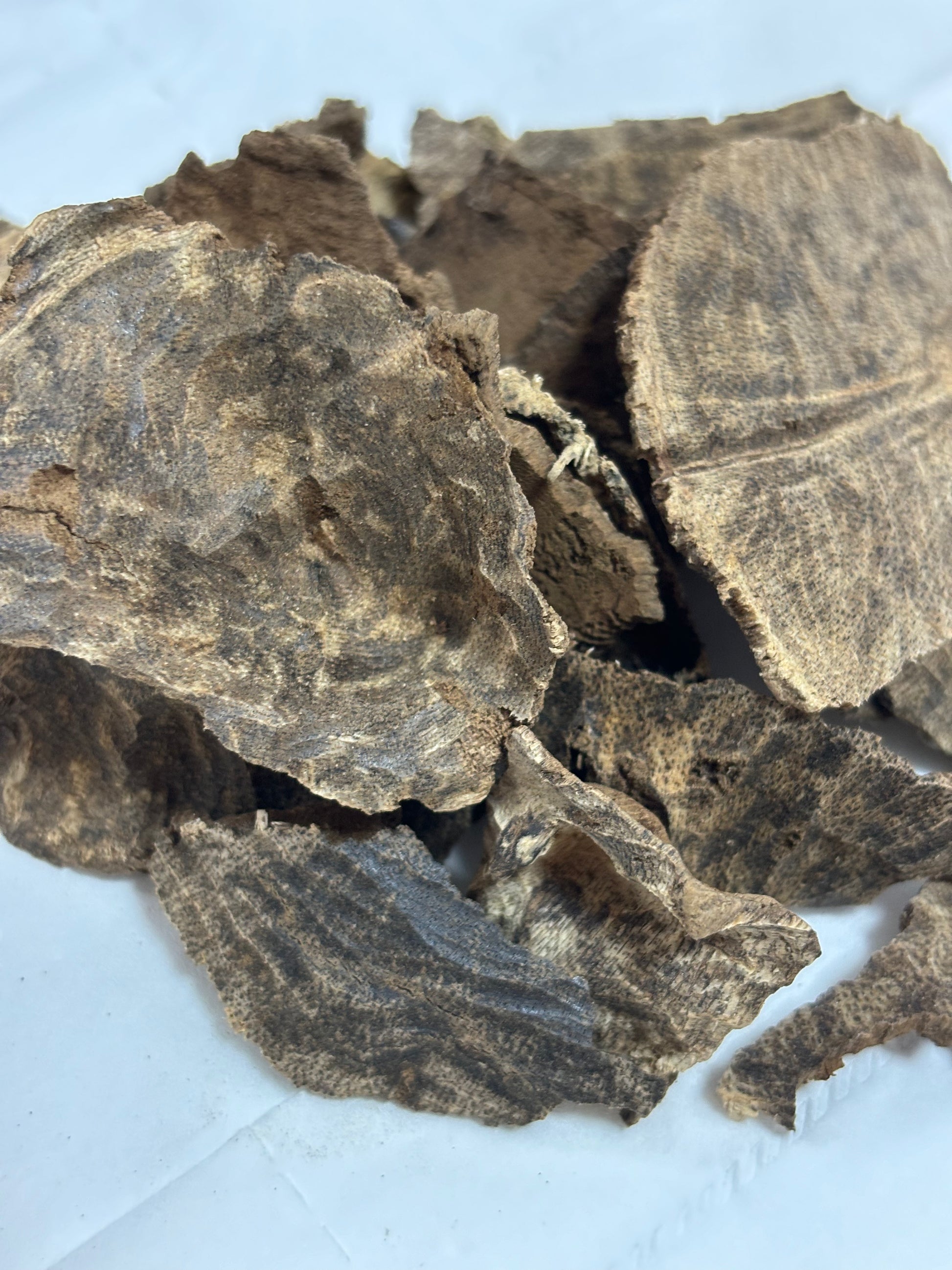 Rare 80-year aged Hainan agarwood with intense jet black resin
