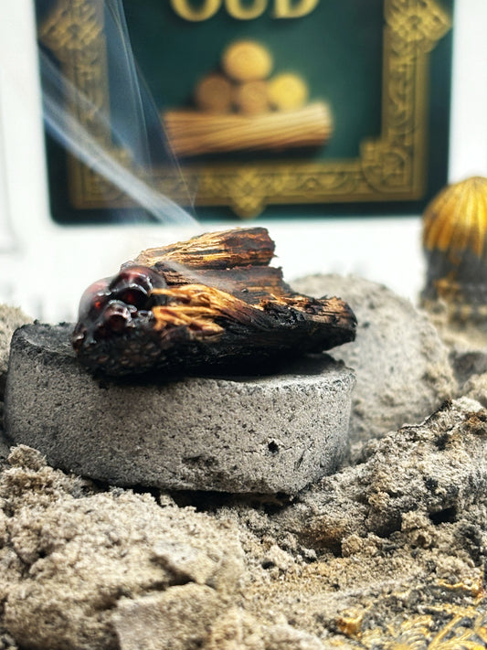 Heating Hainan golden-layer sandalwood on Subitism electronic burner for botanical scent