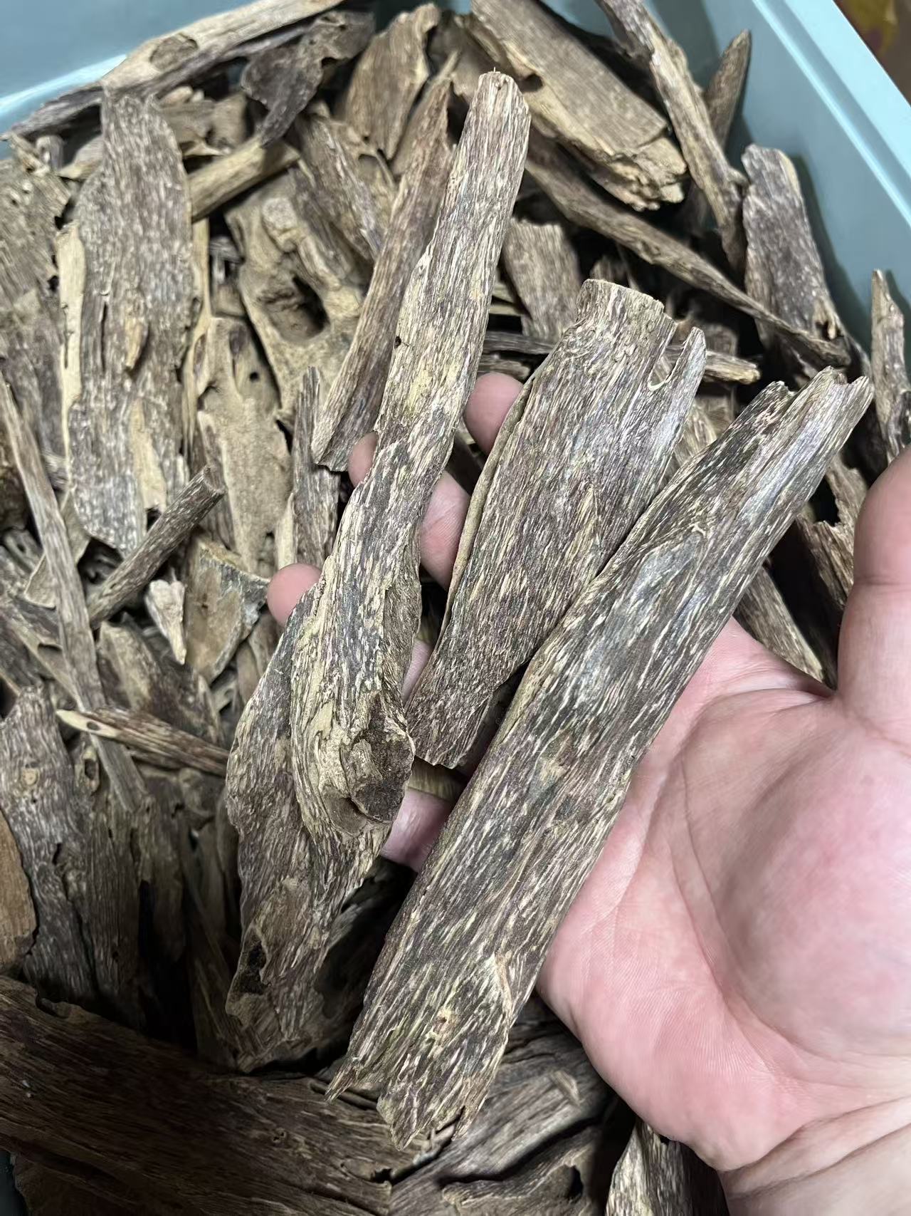 Authentic Hainan Chinese Oud 4A grade insect-hole agarwood raw natural chunks