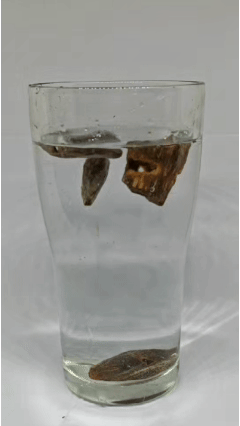 Authentic 100% sinking Kynam blocks dropping instantly to the bottom of water, verifying true Ghariq grade density