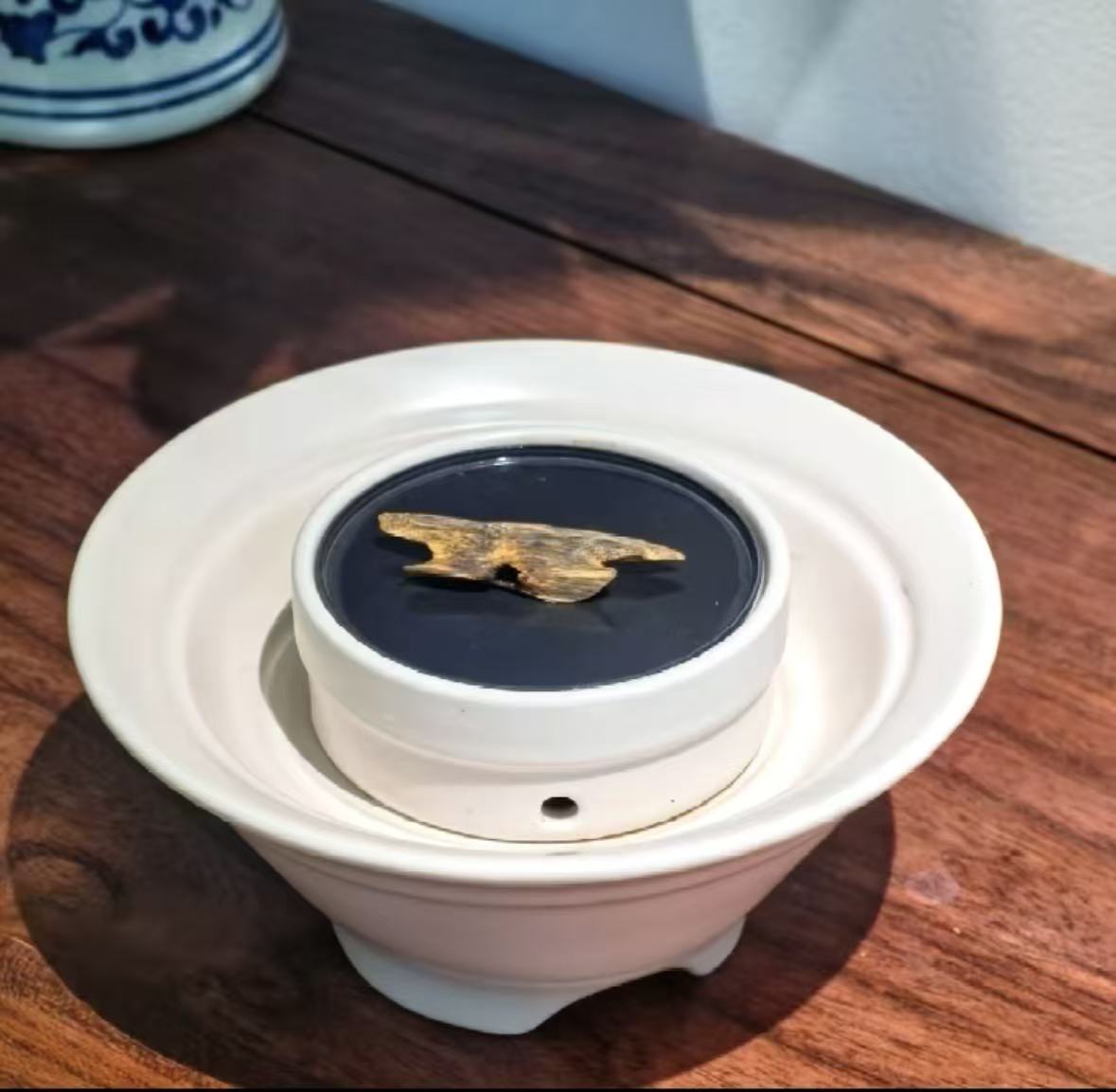 An extra-large museum-grade piece of Hainan Agarwood resin shell diffusing smoke-free vapor on the wide expansion heating ceramic plate inside a high-end luxury Majlis living space