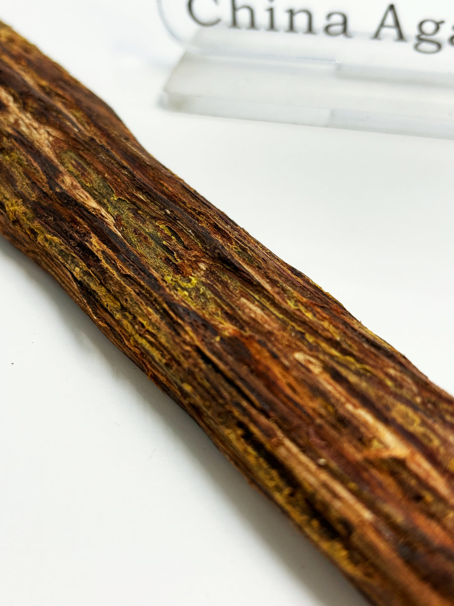 Authentic Golden-Layer Hainan Sandalwood with intense botanical aroma