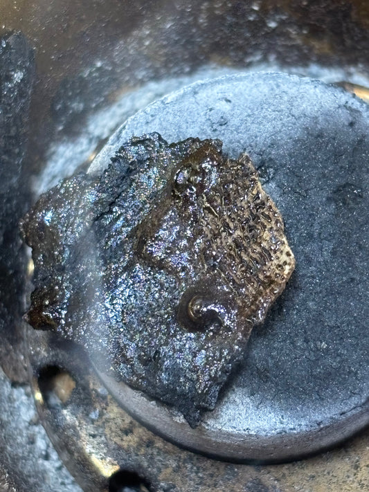 Rare 80-Year Aged Hainan Agarwood | Jet Black Resin | Ancient Forest Legacy