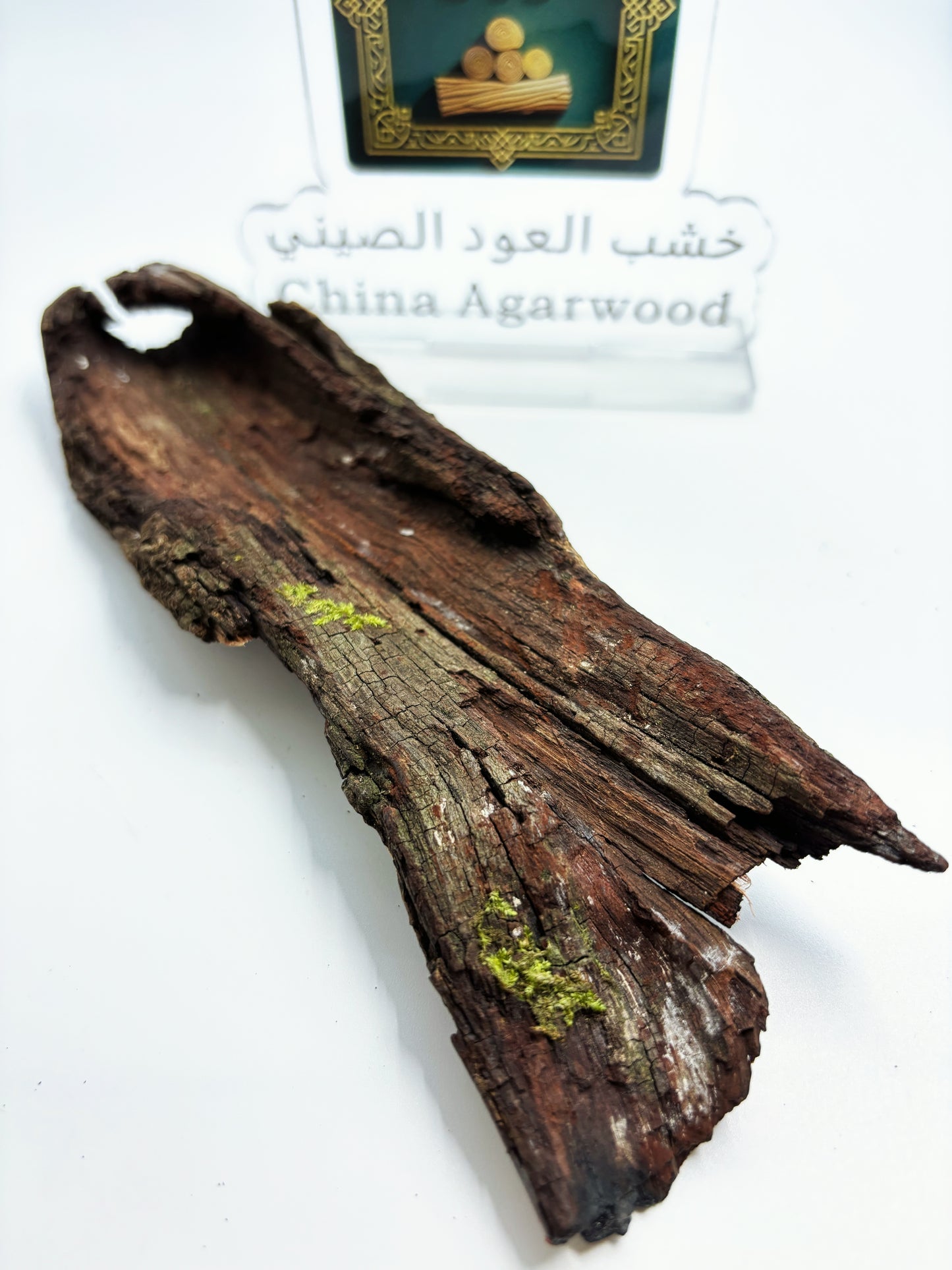 Close-up of authentic medium-leaf Hainan sandalwood showing dense rose-tinted grain