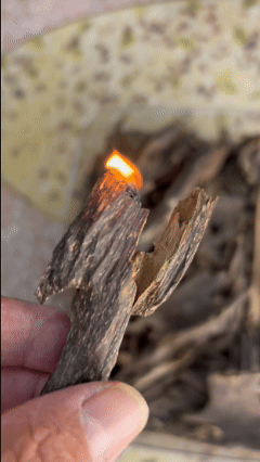 Heating Hainan Chonglou Oud sticks on electronic burner for sweet honey aroma