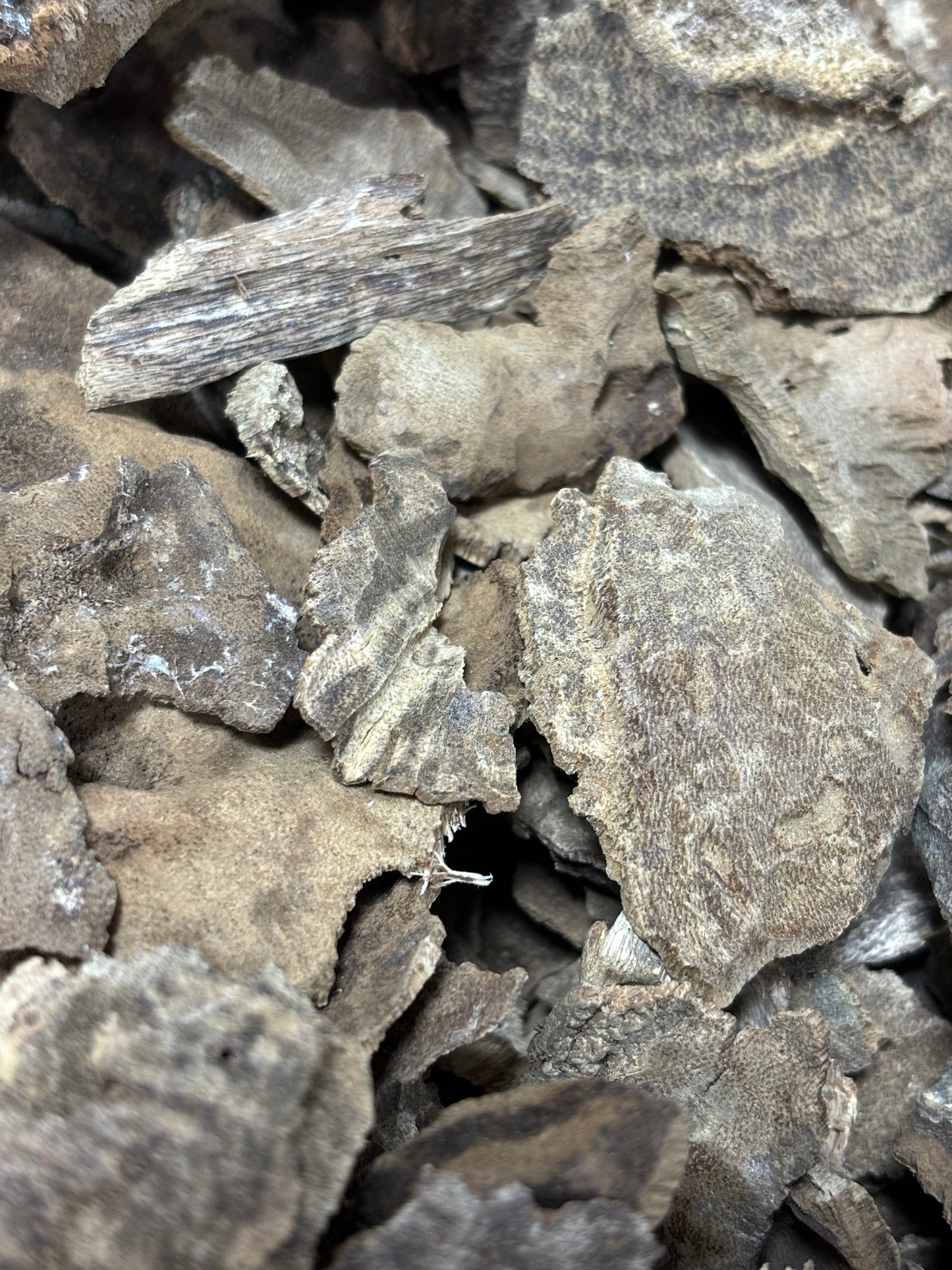 Rare 80-year aged Hainan agarwood with intense jet black resin