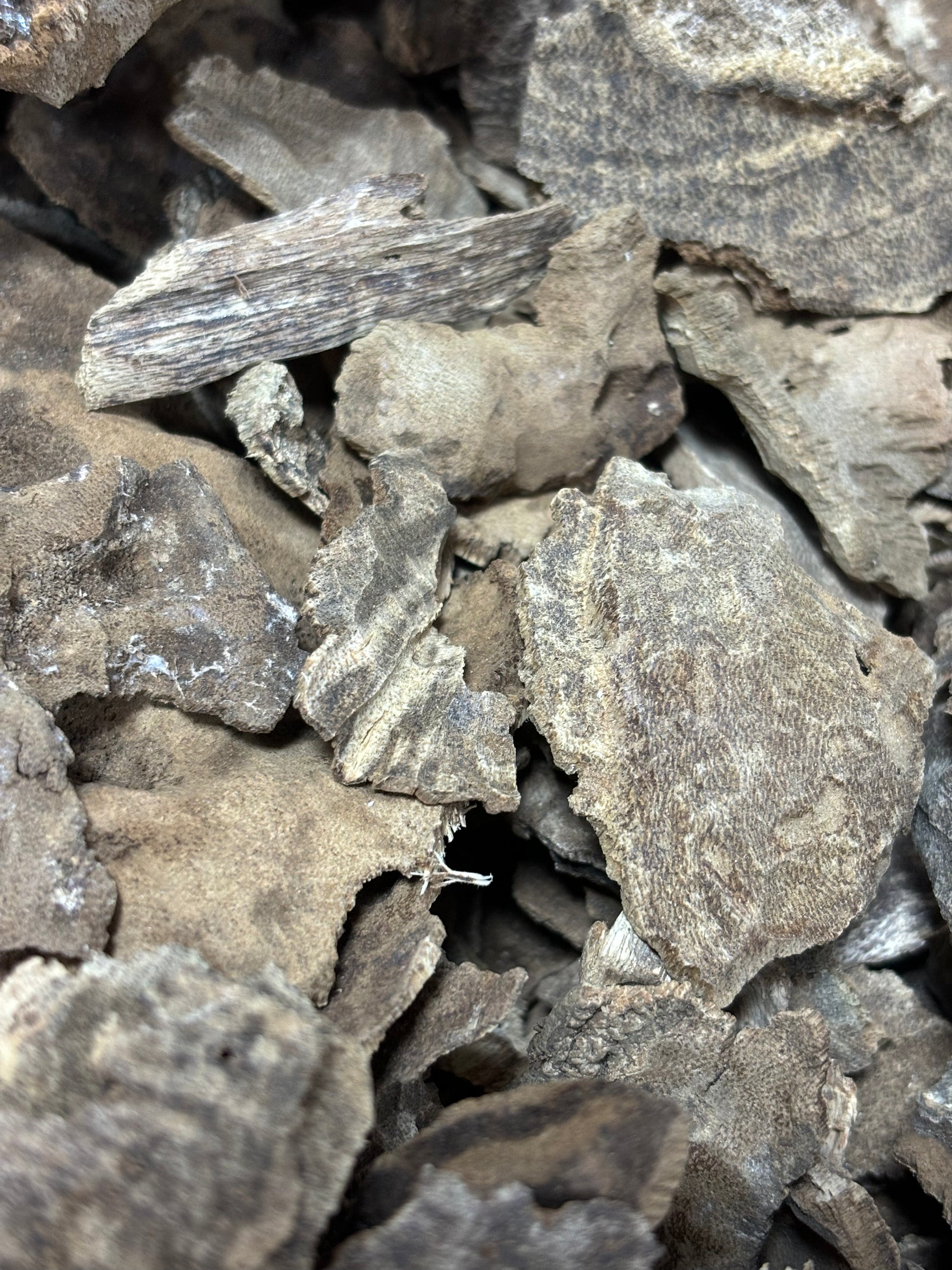 Rare 80-year aged Hainan agarwood with intense jet black resin